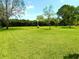 Expansive backyard featuring lush green lawn and mature trees under a clear blue sky at 9313 Lisbon St, Seffner, FL 33584