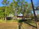 Mature trees providing ample shade in a sprawling backyard at 9127 Woodridge Run Dr, Tampa, FL 33647