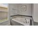 Modern bathroom featuring a large soaking tub with elegant chrome fixtures at 10449 Hunters Haven Blvd, Riverview, FL 33578