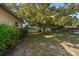 A backyard with a beautiful, mature tree, green grass, and well-maintained landscaping offering a private outdoor space at 1142 Lancer Ln, Tarpon Springs, FL 34689