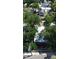 Overhead shot of the house and surrounding trees at 1221 E Osborne Ave, Tampa, FL 33603