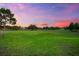 Expansive green golf course view with trees at sunset; ideal for golf enthusiasts and scenic views at 1416 Via Verdi Dr, Palm Harbor, FL 34683