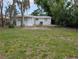 Backyard featuring mature trees, a lush lawn, and a home with a white door at 1906 E 98Th Ave, Tampa, FL 33612