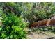 Fenced yard with mature trees offers privacy and a natural setting at 2721 Baird Ct, Palm Harbor, FL 34684