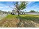 Exterior backyard view of the property with grass, a mature tree and white fencing at 3929 Cochise Ter, Sarasota, FL 34233