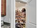Well-organized walk-in pantry with ample shelving for storage at 5043 White Chicory Dr, Apollo Beach, FL 33572