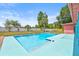 An eye-level image of the beautiful rectangular swimming pool in the landscaped backyard at 603 Royal Crest Dr, Brandon, FL 33511