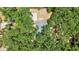 Bird's eye view reveals the house roof amidst lush, mature trees and a spacious lot at 706 S 56Th St, Tampa, FL 33619