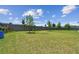 Spacious backyard with healthy green lawn, privacy fence, and young trees on a sunny day at 8421 Ivy Stark Blvd, Wesley Chapel, FL 33545