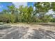 View of a spacious parcel with mature trees and sandy ground at 8828 Jasmine Blvd, Port Richey, FL 34668