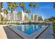 Community pool with clear blue water, palm trees, and lounge chairs at 101 Marina Del Rey Ct, Clearwater, FL 33767
