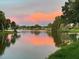 A tranquil pond view with colorful sunset reflecting in the water at 10775 Glen Ellen Dr, Tampa, FL 33624