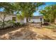 View of the backyard showing the patio and landscaping of the property at 1216 E Lambright St, Tampa, FL 33604