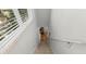 Well-lit staircase with carpeted steps and white railing leading to the lower level of the home at 1271 Drew St, Clearwater, FL 33755