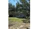 Exterior view of the property featuring the backside of the house, a small barn, and an expanse of green grass at 12720 Jan St, San Antonio, FL 33576