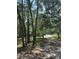 Long tree-lined dirt driveway at 12720 Jan St, San Antonio, FL 33576