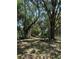 Green trees provide shade to the land at 12720 Jan St, San Antonio, FL 33576