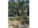 A view of the yard of the property at 12720 Jan St, San Antonio, FL 33576