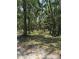 View of the home on a tree-filled property at 12720 Jan St, San Antonio, FL 33576