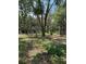 View of the home and outbuildings on a tree-filled property at 12720 Jan St, San Antonio, FL 33576