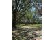 Serene shot of the property's greenery at 12720 Jan St, San Antonio, FL 33576