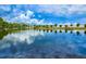 Calm pond reflecting the sky with ducks swimming in the water, surrounded by lush greenery at 1400 Gandy N Blvd # 1705, St Petersburg, FL 33702
