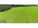 Expansive grassy field featuring grazing cattle, distant barn, and a backdrop of lush trees at 14409 Curley Rd, Dade City, FL 33525