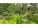 Overgrown land with a small path and tall, mossy trees creates a secluded, natural setting at 14409 Curley Rd, Dade City, FL 33525