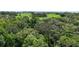 This close-up aerial view focuses on the lush woodland with tall green trees and a bright, sunny day at 14409 Curley Rd, Dade City, FL 33525