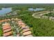 Overhead shot of suburban homes nestled near winding road and lush trees at 14634 Mirasol Manor Ct, Tampa, FL 33626