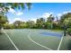 Community basketball court surrounded by lush landscaping and mature trees on a sunny day at 14634 Mirasol Manor Ct, Tampa, FL 33626