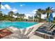 Large community pool with blue lounge chairs, palm trees, and clear blue skies, offering a perfect spot for leisure at 14634 Mirasol Manor Ct, Tampa, FL 33626