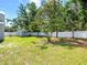 Lush backyard featuring green grass, mature trees, and a storage shed at 2433 Blind Pond Ave, Lutz, FL 33549