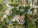 Neighborhood aerial view of a home with a pool and mature landscaping at 2903 Manor Ridge Pl, Valrico, FL 33596