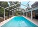 Inviting screened-in pool with crystal-clear water, complemented by a spacious deck and lush surroundings at 35 Deerpath Dr, Oldsmar, FL 34677