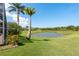 Lush backyard view overlooking a scenic lake lined with palm trees and greenery, creating a serene oasis at 800 Belted Kingfisher S Dr, Palm Harbor, FL 34683