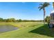 Backyard with a pond and mature trees near the home's lanai at 800 Belted Kingfisher S Dr, Palm Harbor, FL 34683