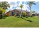 The backyard has a screened-in lanai and mature palm trees at 800 Belted Kingfisher S Dr, Palm Harbor, FL 34683