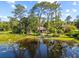Aerial view showcasing the house by a pond, lush landscaping, mature trees, and water lilies at 8011 N Mobley Rd, Odessa, FL 33556
