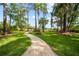 Lush backyard featuring a brick path, well-manicured lawn, and mature trees, leading to serene water views at 8011 N Mobley Rd, Odessa, FL 33556