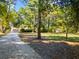 Charming home with a multi-car garage, visible through mature trees and lush greenery at 8011 N Mobley Rd, Odessa, FL 33556