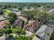 Scenic aerial view showcasing the roofs of houses amidst a backdrop of lush trees and greenery at 8916 Southbay Dr, Tampa, FL 33615