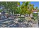 Large backyard with mature trees and green space, perfect for outdoor activities and relaxation at 8916 Southbay Dr, Tampa, FL 33615
