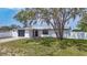 Charming single-story home featuring a well-manicured lawn, a modern garage door, and a freshly painted exterior at 10006 N Connechusett Rd, Tampa, FL 33617