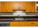 Close-up of kitchen with wood cabinets, granite counters and stainless sink at 10511 Waterview Ct # 10511, Tampa, FL 33615
