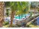 Community swimming pool with lounge chairs and lush landscaping at 1230 S Missouri Ave # 704, Clearwater, FL 33756