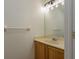 A half-bathroom with a mirror, vanity, and towel rack at 1246 Ocean Reef Rd, Wesley Chapel, FL 33544