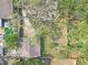 An aerial view of the home's roof and property, with some overgrown landscaping at 1506 E Poinsettia Ave, Tampa, FL 33612
