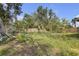 Overgrown backyard with a wood fence in need of maintenance at 1506 E Poinsettia Ave, Tampa, FL 33612