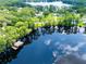 Scenic aerial shot of a lake with a boat dock, surrounded by lush green trees at 16603 Hutchison Rd, Odessa, FL 33556